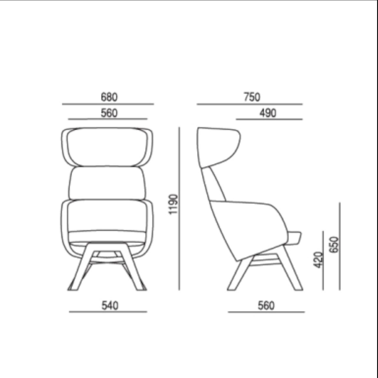 Ohrensessel WINX mit Holzgestell Ohrensessel WINX mit Massivholzgestell Eiche Breite: 680 mm Tiefe:730 mm Höhe:1190 mm Ausführung: Rim Era 2050, Grau